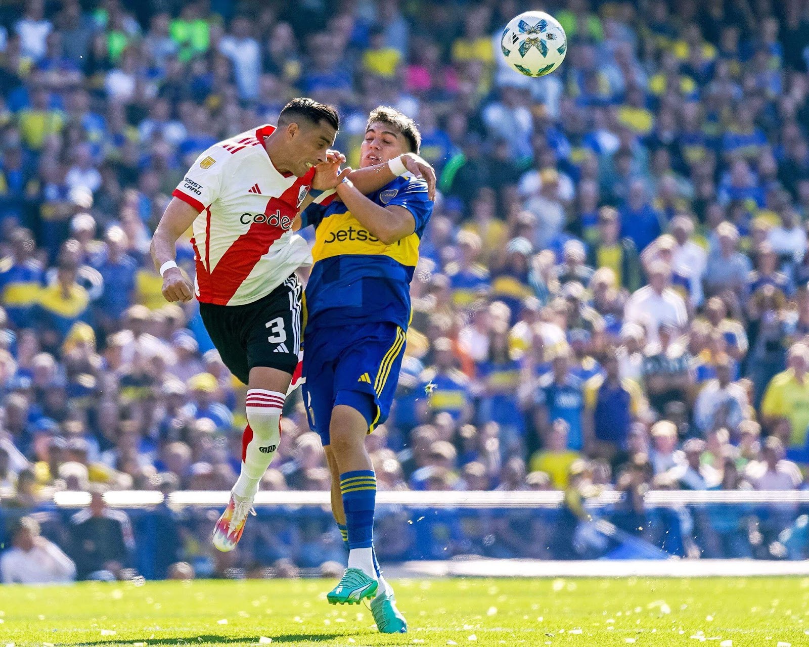 betwarrior app download